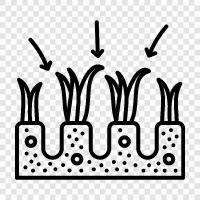 Klingen, grün, Rasen, Gras symbol