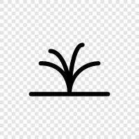 Schaufeln, Gras symbol