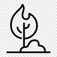 blaze, heat, inferno, conflagration icon svg