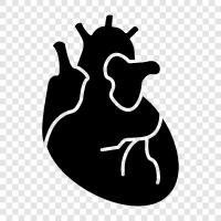 blood, arteries, heart attack, heart disease icon svg