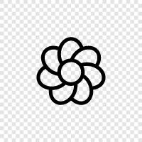 Bloom, Bloomers, Bloomin, Flower icon svg