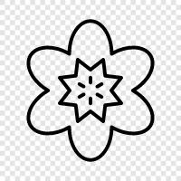 Bloom, Bloomer, Bloomers, Blooming icon svg