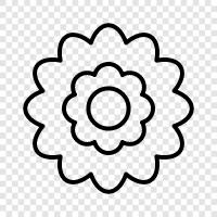 Bloom, Blooms, Garden, Gardening icon svg