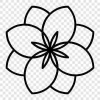 Bloom, Blossom, Bloomer, Garden icon svg