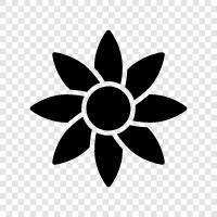 Blüte, Blume symbol