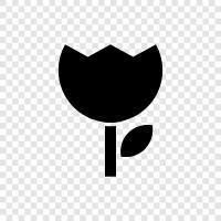 Bloom, Blooms, Bud, Branch ikon svg