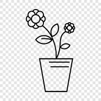 bloom, blossom, petal, stem icon svg