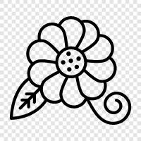 Bloom, Blooming, Blooms, Bloomer icon svg