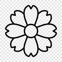 Bloom, Bloomers, Buds, Bouquet ikon svg