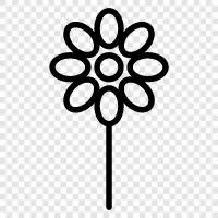 Bloom, Gardening, Floral, Florist icon svg