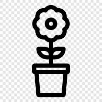 Bloom, Bloomers, Bouquet, Bouquet of Flowers icon svg