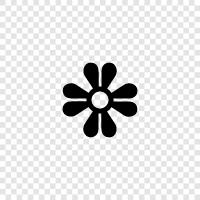 Bloom, Bloomer, Blooms, Bloom Time icon svg