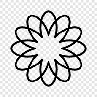 Bloom, Bloomers, Fragrance, Floral ikon svg