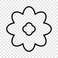 Bloom, Bloomers, Blooming, Blooms ikon svg