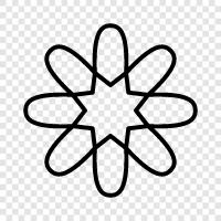 Bloom, Bloomer, Bloomers, Floral symbol