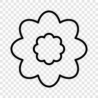 bloom, blossom, petal, stem icon svg