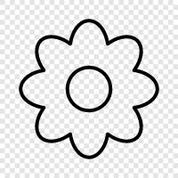 Bloom, Bloomer, Florist, Florist Dükkanı ikon svg