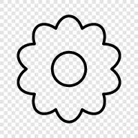 Bloom, Bloomer, Botanist, Bahçeci ikon svg