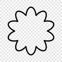 Bloom, Bloomers, Bouquet, Flor ikon svg