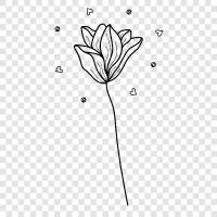 bloom, blossom, petals, leaves icon svg