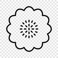 Bloom, Bloomerler, Daffodiller, Tulipler ikon svg