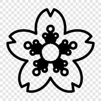 Bloom, Gardener, Blooms, Bloomer icon svg