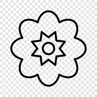 Bloom, Plant, Garden, Gardener icon svg