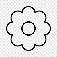 Bloom, Blossom, Plant, Garden icon svg