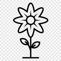 bloom, blossom, petal, leaves icon svg