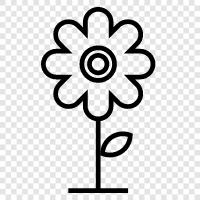 Bloom, Garden, Plant, Grow icon svg