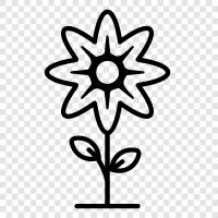 Bloom, Bloomer, Bloomery, Bloomer s icon svg