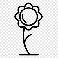 Bloom, Bloomers, Bouquet, Bud icon svg