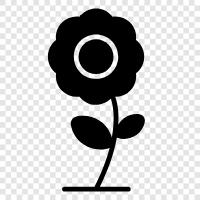 Bloom, Rose, Bud, Garden icon svg