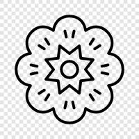 Bloom, Bloomer, Gardener, Plant icon svg