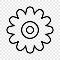 Bloom, Fragrance, Bloom Time, Bouquet icon svg