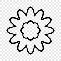 Bloom, Bloomers, Botanical, Gardening icon svg