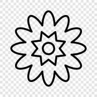 Bloom, Petal, Blossoms, Bouquet icon svg