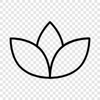 Bloom, Garden, Bloomers, Bouquet icon svg