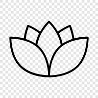 Bloom, Bloomers, Petals, Bouquet icon svg