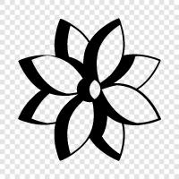 Bloom, Bloomer, Bloomers, Florist icon svg