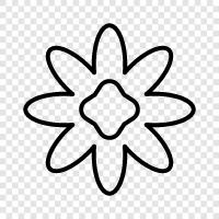 Bloom, Plant, Garden, Flower icon svg