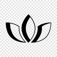 Bloom, Bud, Blossom, Fragrance icon svg