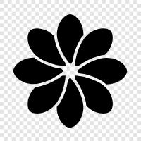 Bloom, Plant, Bahçe, Kan ikon svg