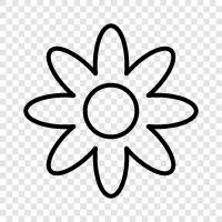 Blüte, Blumen, Duft, Garten symbol