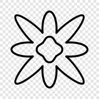 Blüte, Blütezeit symbol