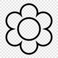 Bloom, Flower icon svg