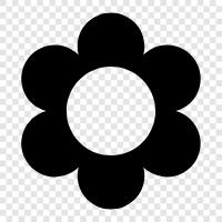 Bloom, Blooming, Bloomers, Bloomy icon svg