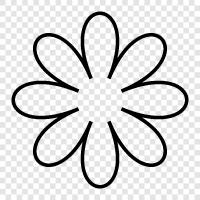 Bloom, Blooming, Bouquet, Plant icon svg