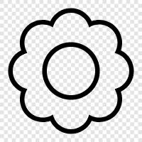 bloom, blossom, petals, color icon svg