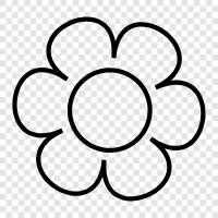 Bloom, Blooming, Blooms, Floral icon svg